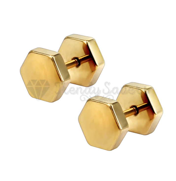 Surgical Steel Mens Womens Gold Hexagon Screw Cheater Plugs Stud Earrings 5MM